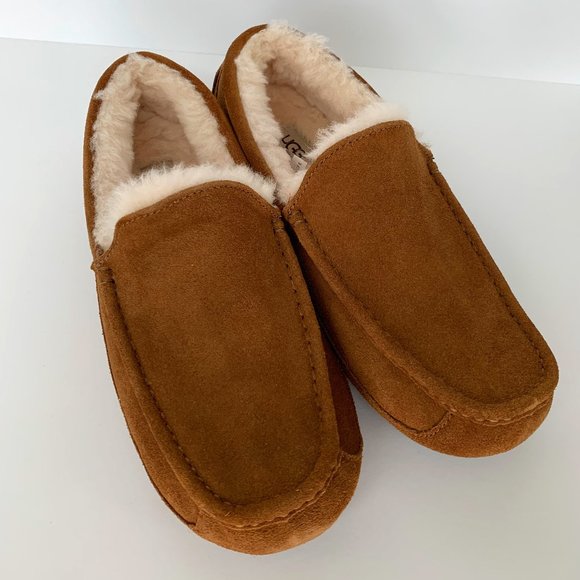 UGG Ascot Men's Wool Slippers - Picture 1 of 3
